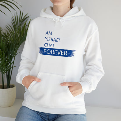 Am Yisrael Chai Forever Blue Stripe Hoodie Sweatshirt