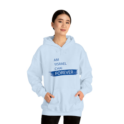 Am Yisrael Chai Forever Blue Stripe Hoodie Sweatshirt