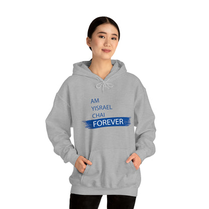 Am Yisrael Chai Forever Blue Stripe Hoodie Sweatshirt