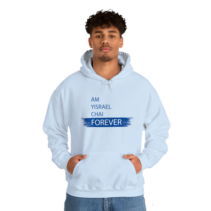 Am Yisrael Chai Forever Blue Stripe Hoodie Sweatshirt