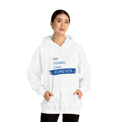 Am Yisrael Chai Forever Blue Stripe Hoodie Sweatshirt