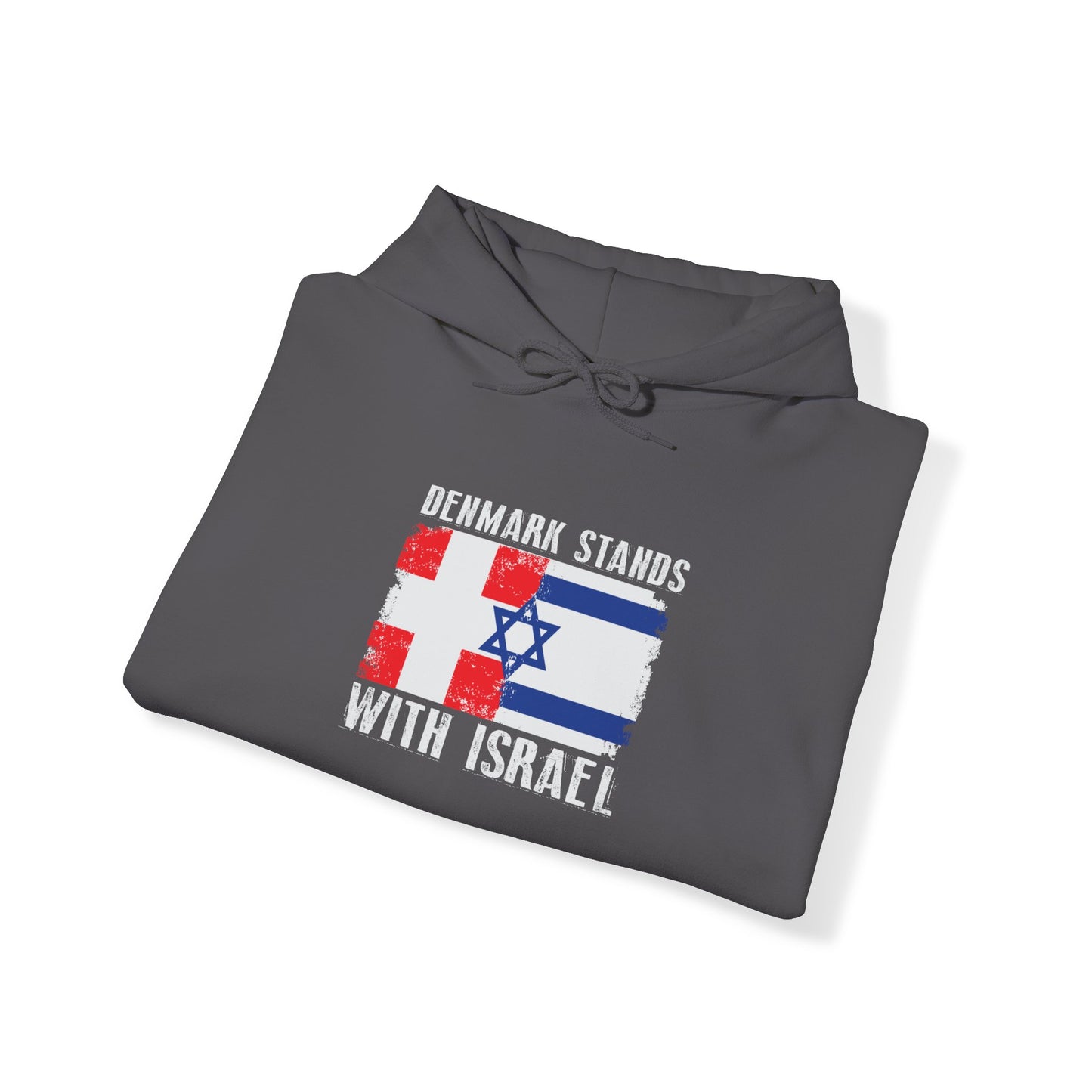 Denmark Stands With Israel Hoodie Sweatshirt