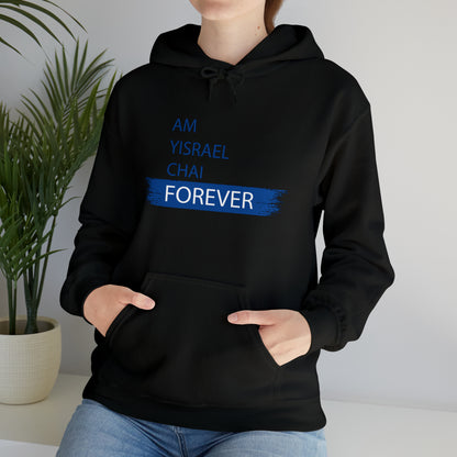 Am Yisrael Chai Forever Blue Stripe Hoodie Sweatshirt