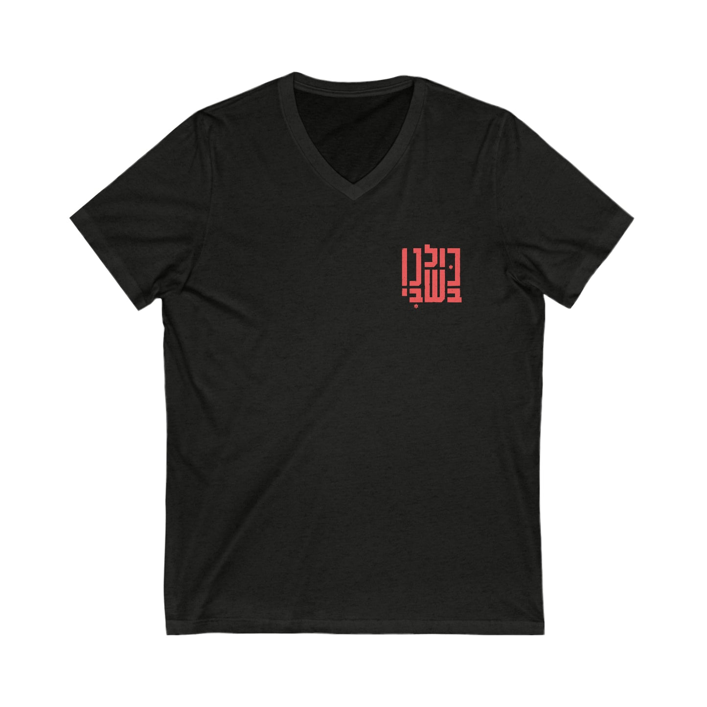 Solidarity in Letters V-Neck Tee