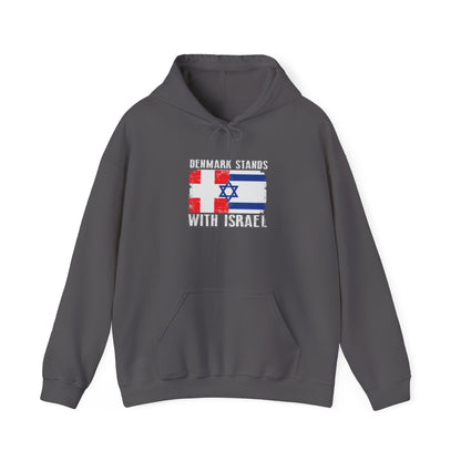 Denmark Stands With Israel Hoodie Sweatshirt