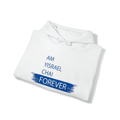 Am Yisrael Chai Forever Blue Stripe Hoodie Sweatshirt