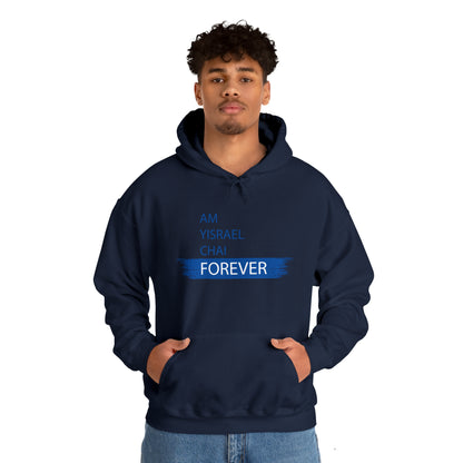 Am Yisrael Chai Forever Blue Stripe Hoodie Sweatshirt